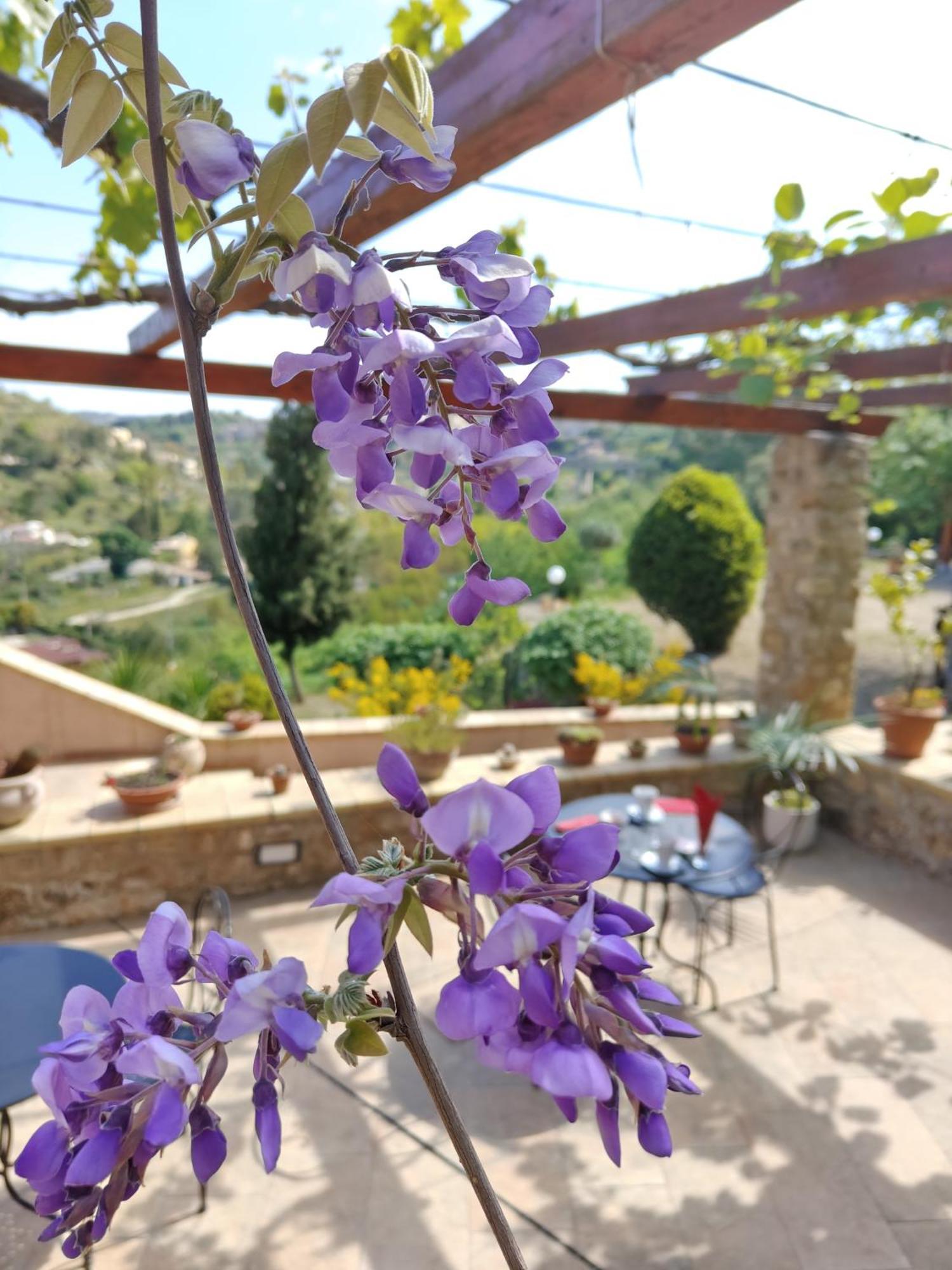 Panorama Suite Piazza Armerina Exterior foto